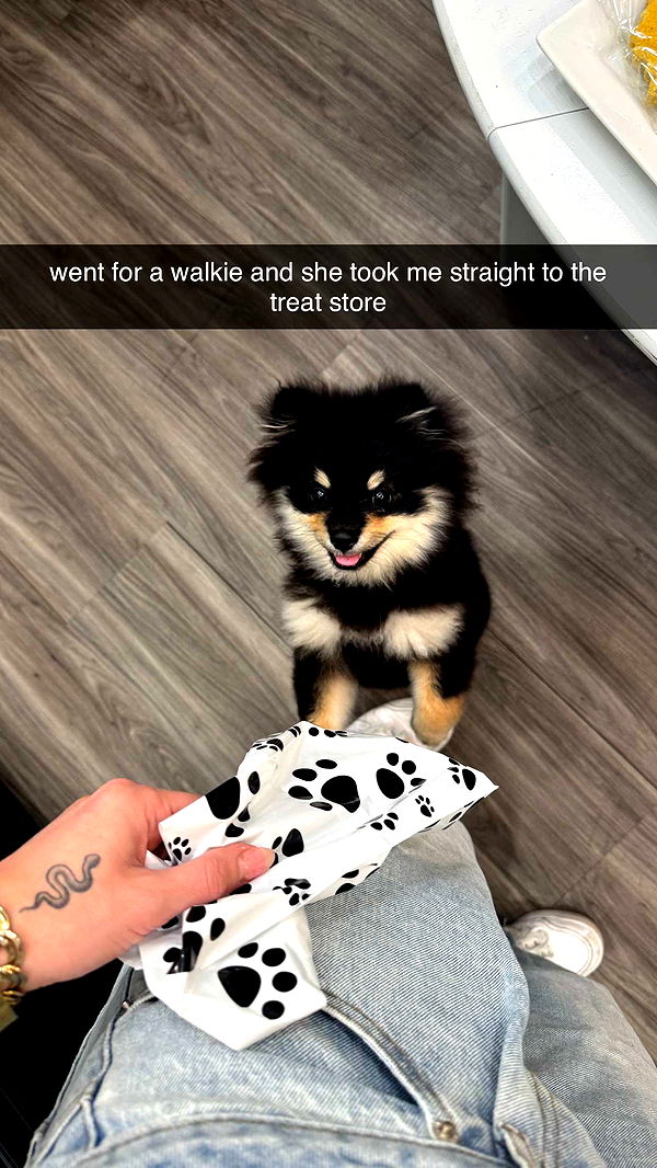 kaygcarlson image ~ Altpins