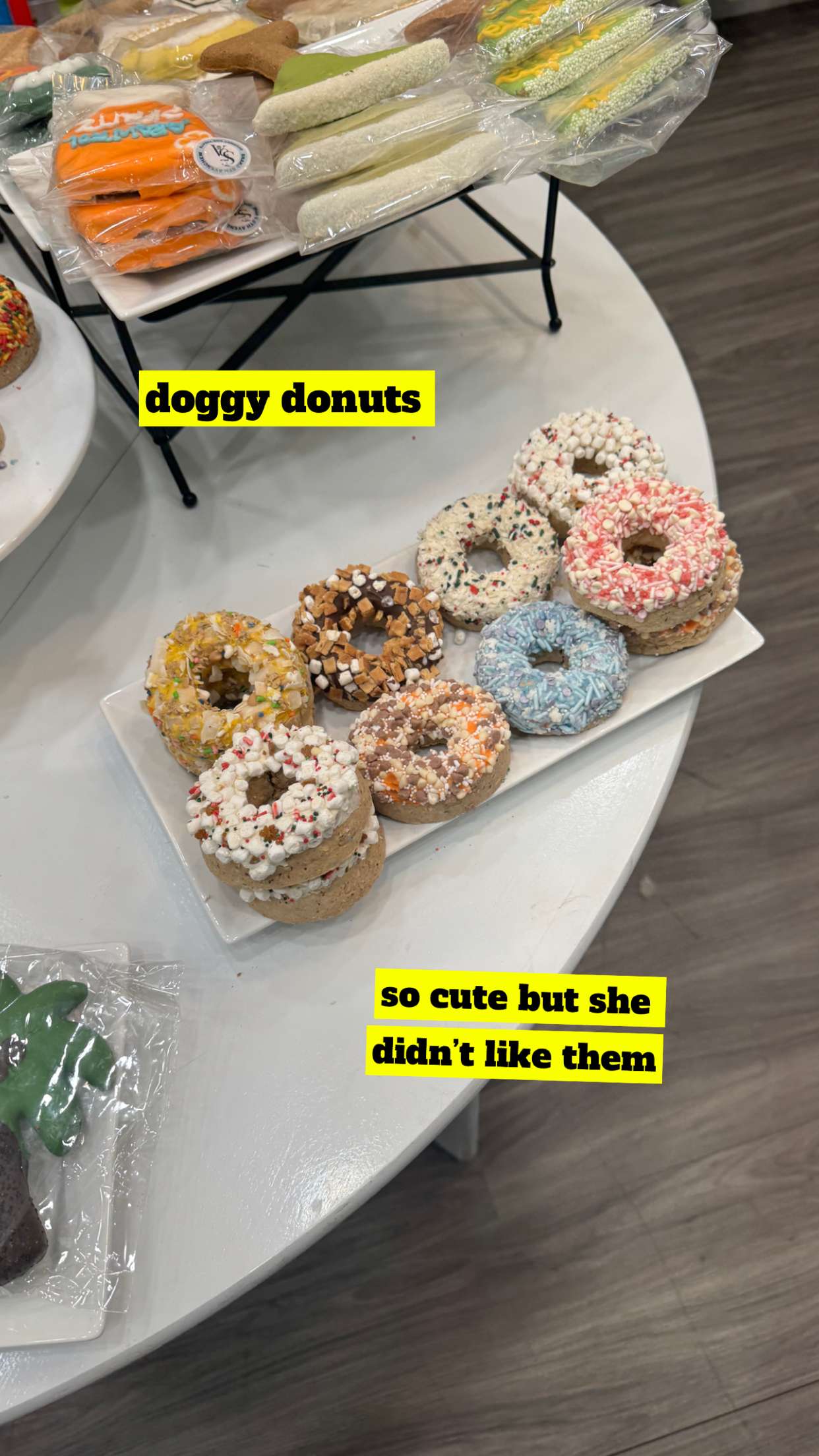 kaygcarlson snapchat image archive image