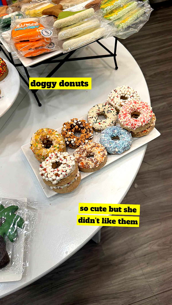 kaygcarlson image ~ Altpins