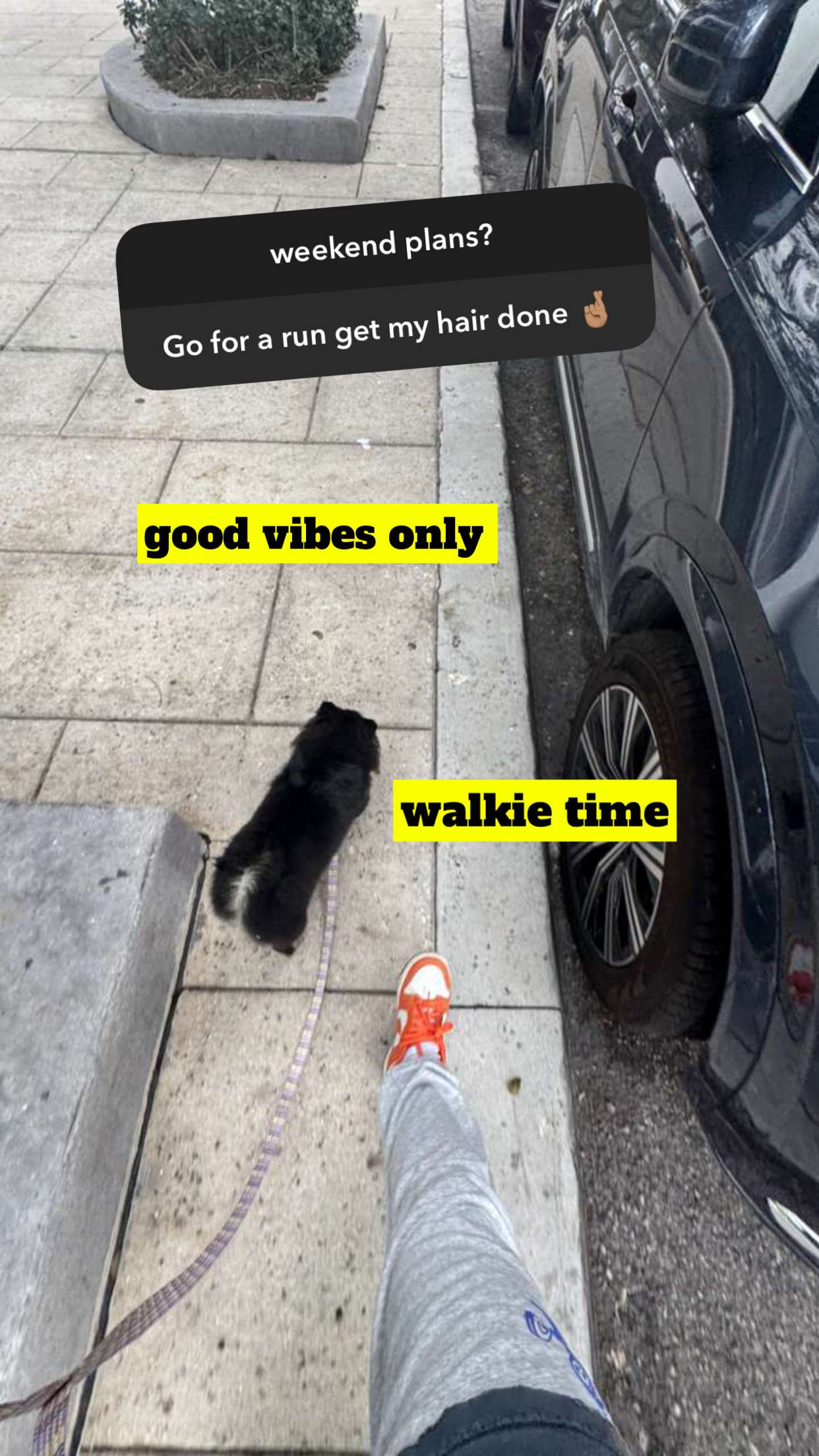 kaygcarlson snapchat image archive image