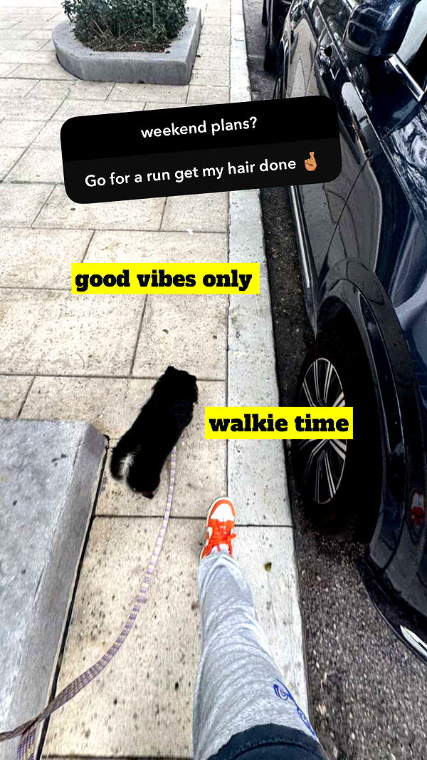 kaygcarlson image ~ Altpins