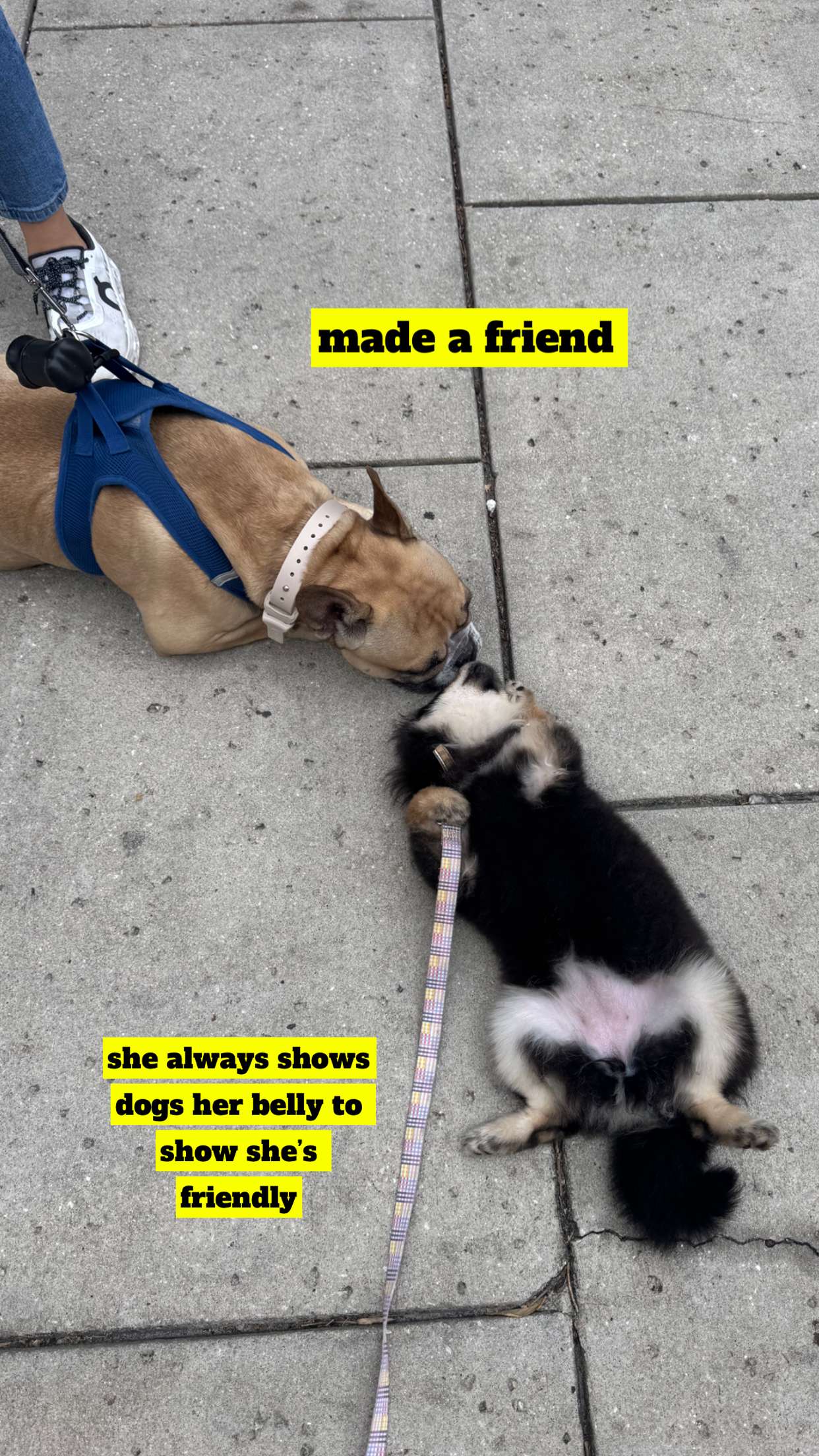 kaygcarlson snapchat image archive image