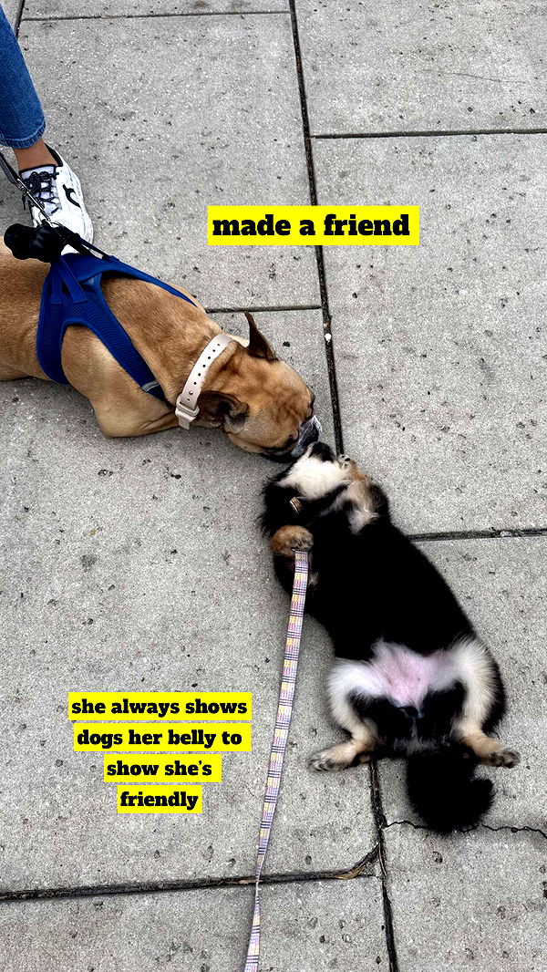 kaygcarlson image ~ Altpins