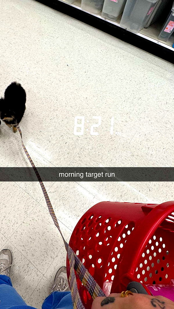 kaygcarlson image ~ Altpins