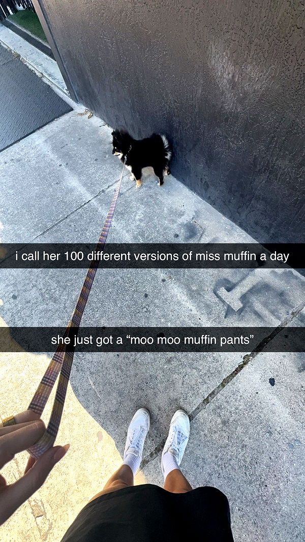 kaygcarlson image ~ Altpins