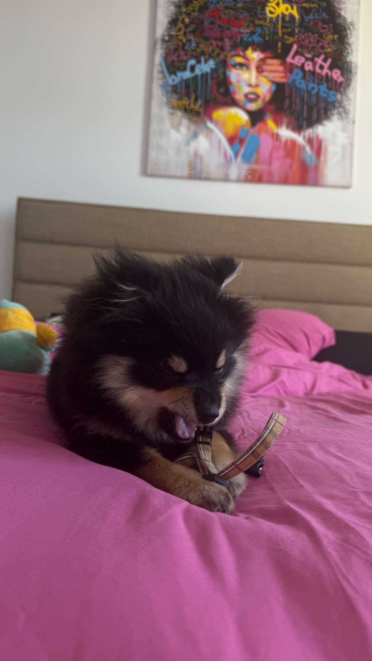 kaygcarlson snapchat image archive image