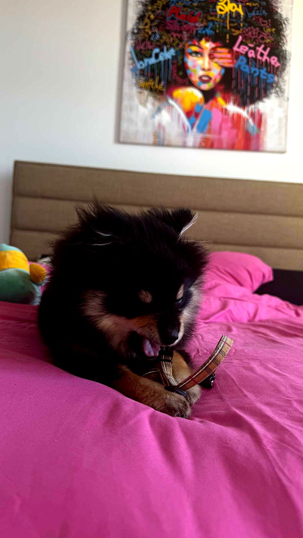 kaygcarlson image ~ Altpins