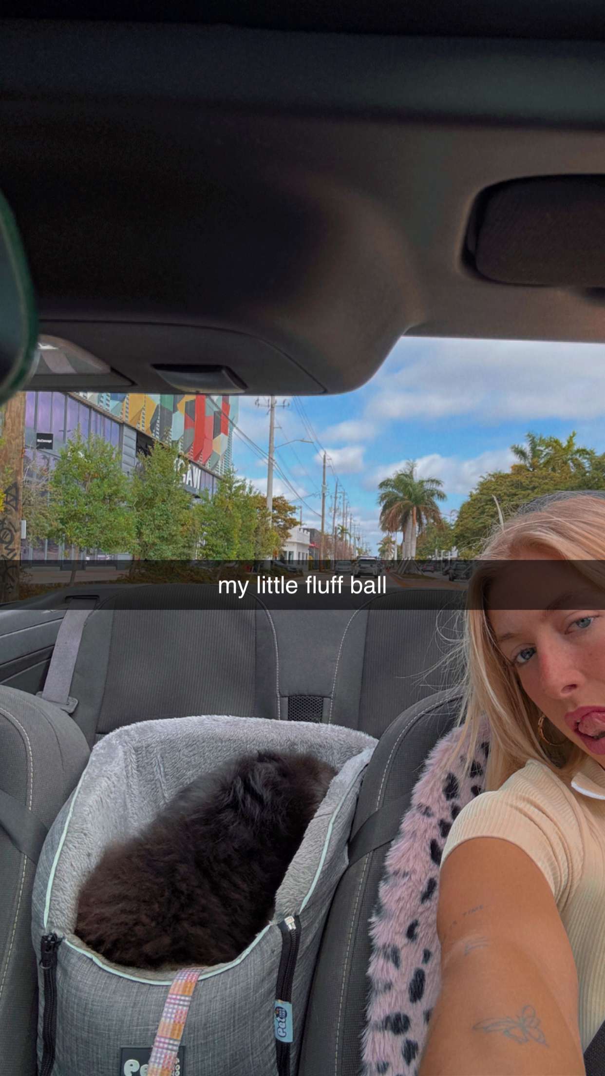 kaygcarlson snapchat image archive image