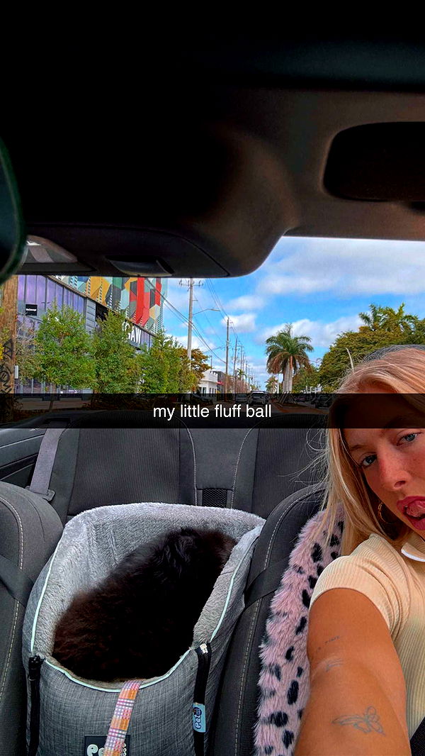 kaygcarlson image ~ Altpins