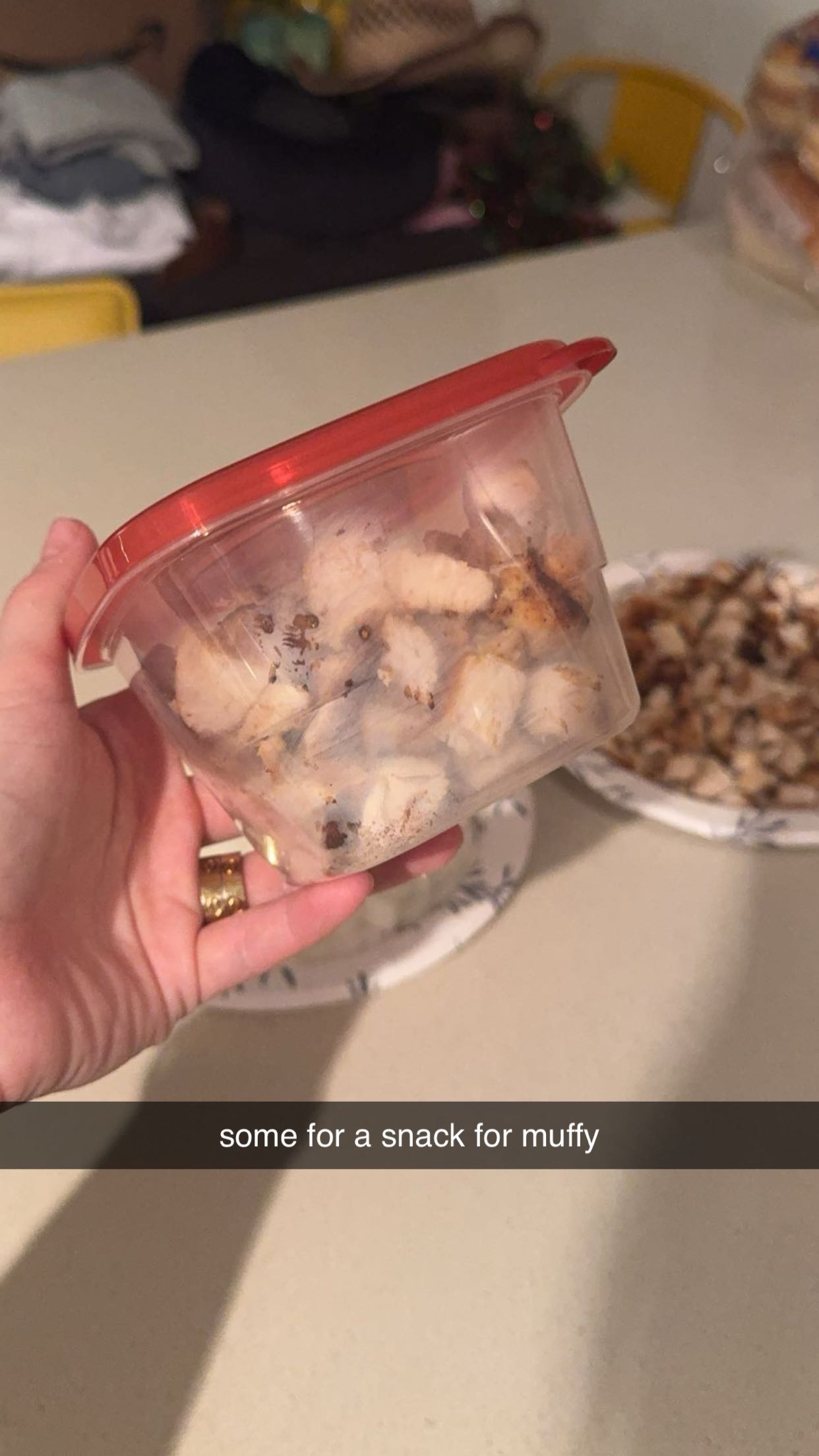 kaygcarlson snapchat image archive image