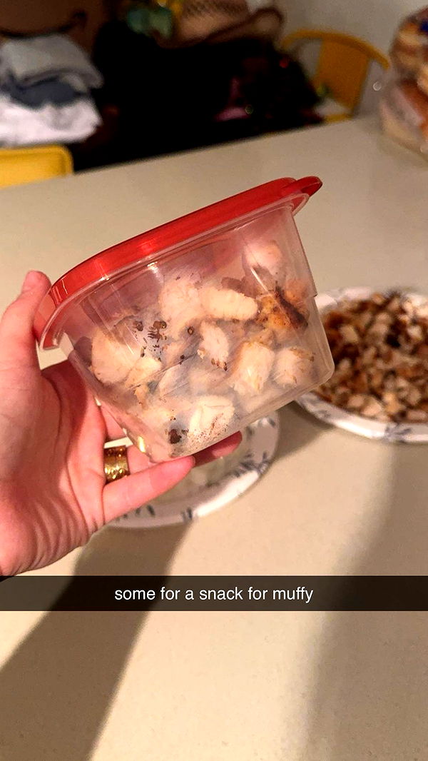 kaygcarlson image ~ Altpins