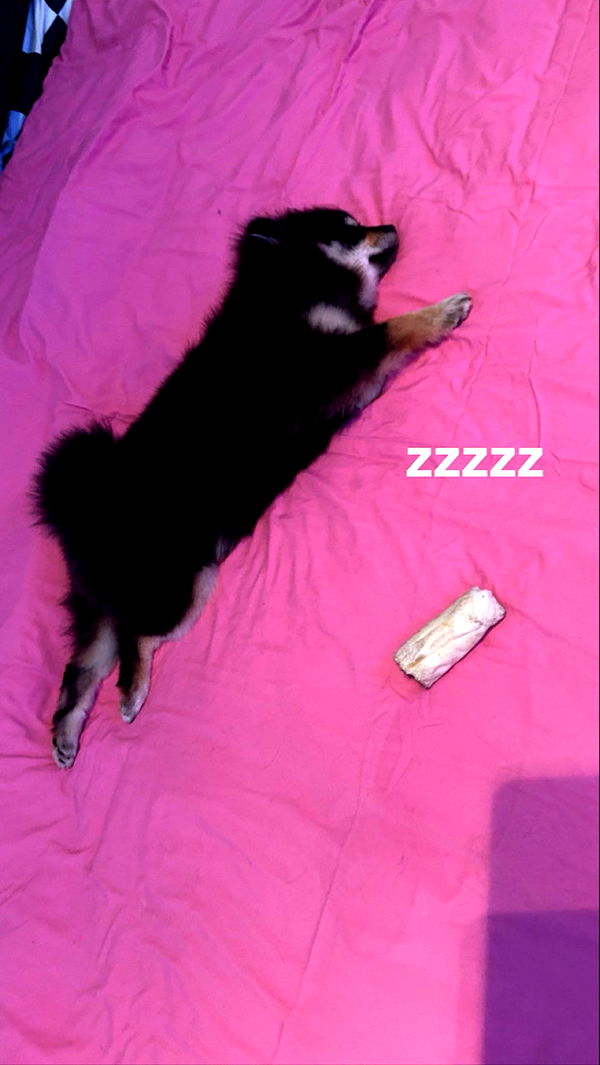 kaygcarlson image ~ Altpins