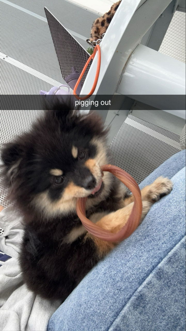 kaygcarlson snapchat image archive image