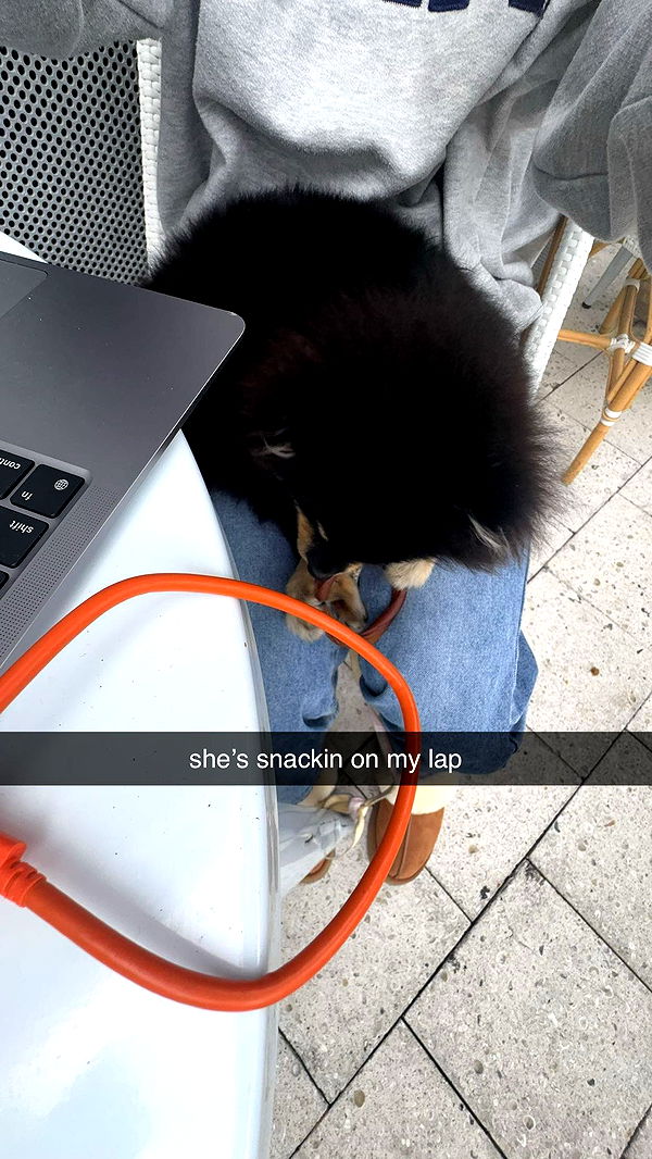 kaygcarlson image ~ Altpins