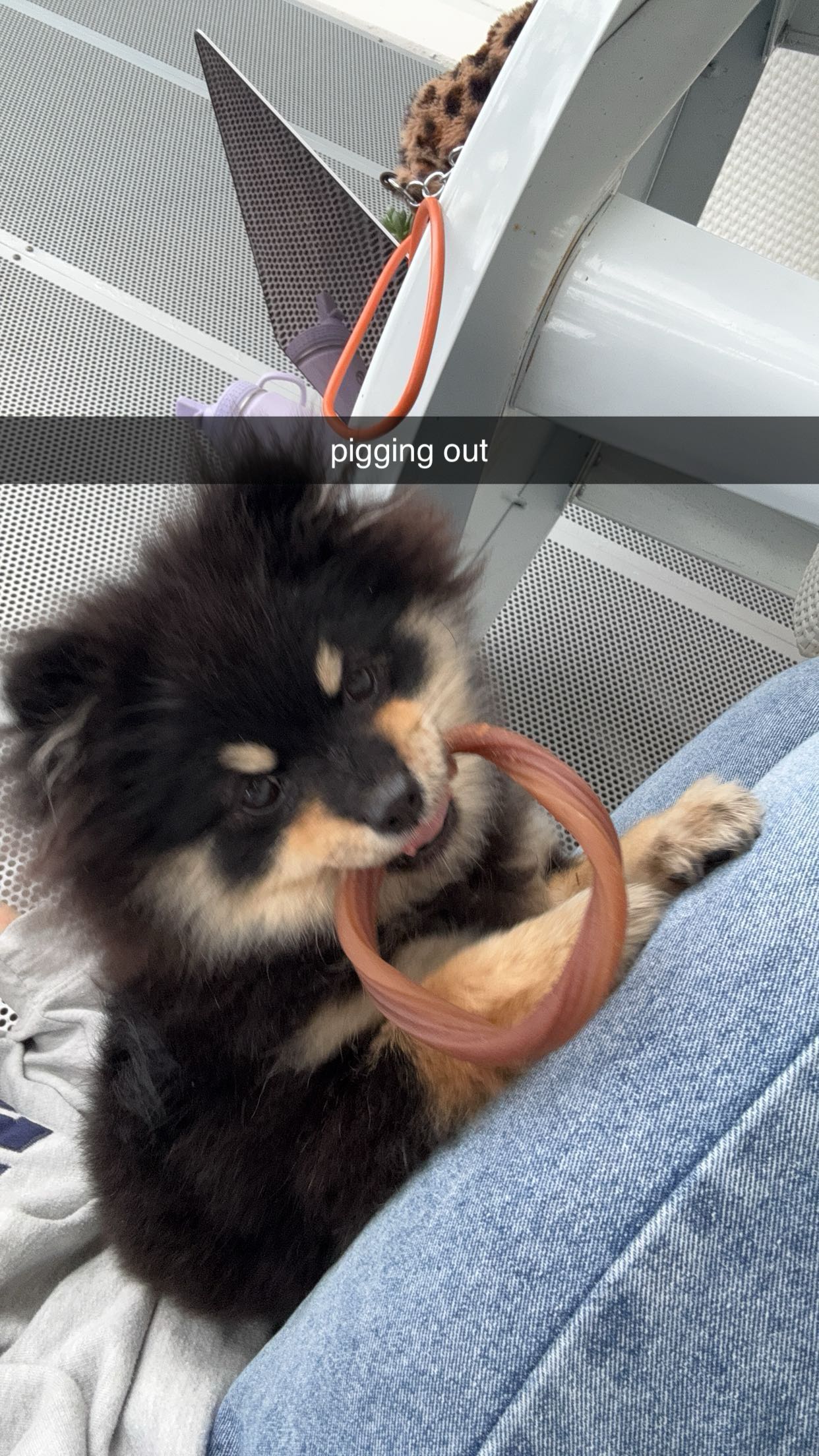 kaygcarlson snapchat image archive image