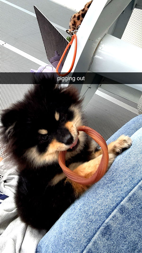 kaygcarlson image ~ Altpins