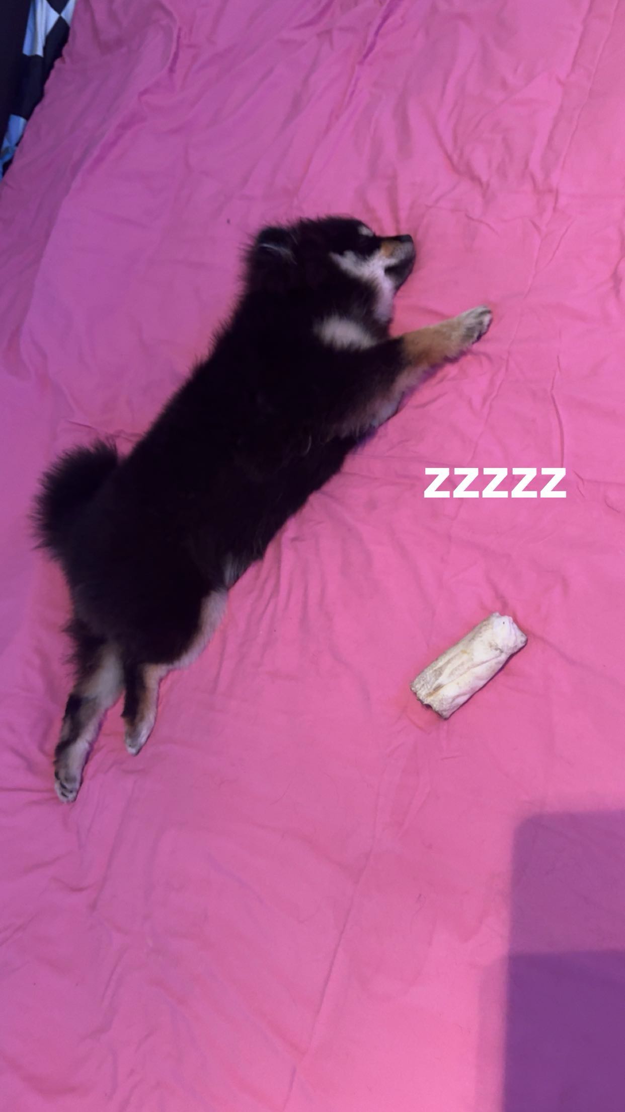 kaygcarlson snapchat image archive image