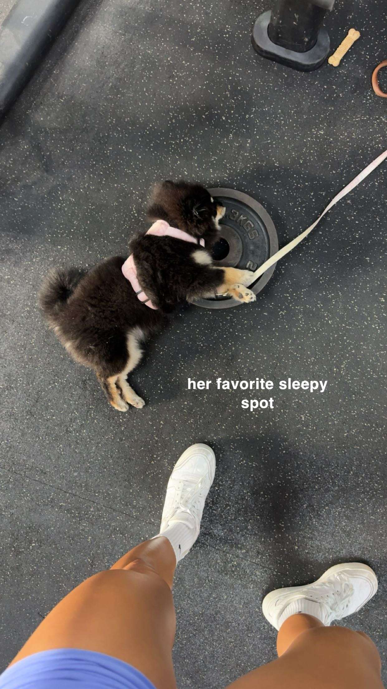 kaygcarlson snapchat image archive image