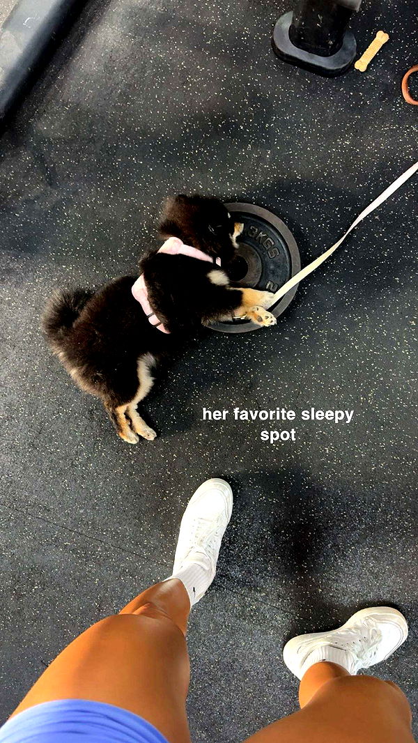 kaygcarlson image ~ Altpins