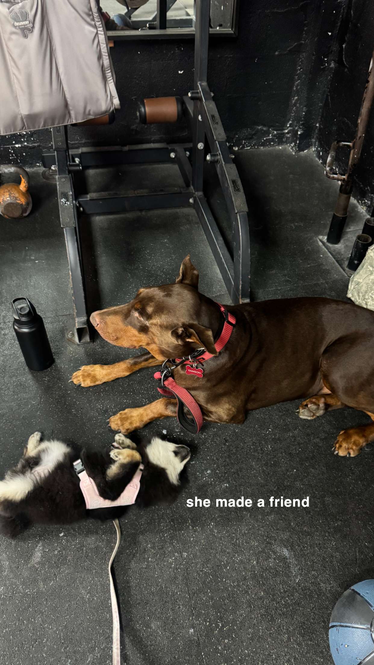 kaygcarlson snapchat image archive image