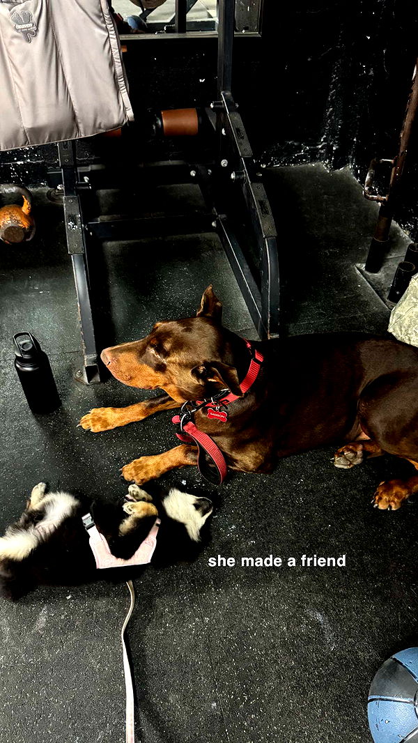 kaygcarlson image ~ Altpins