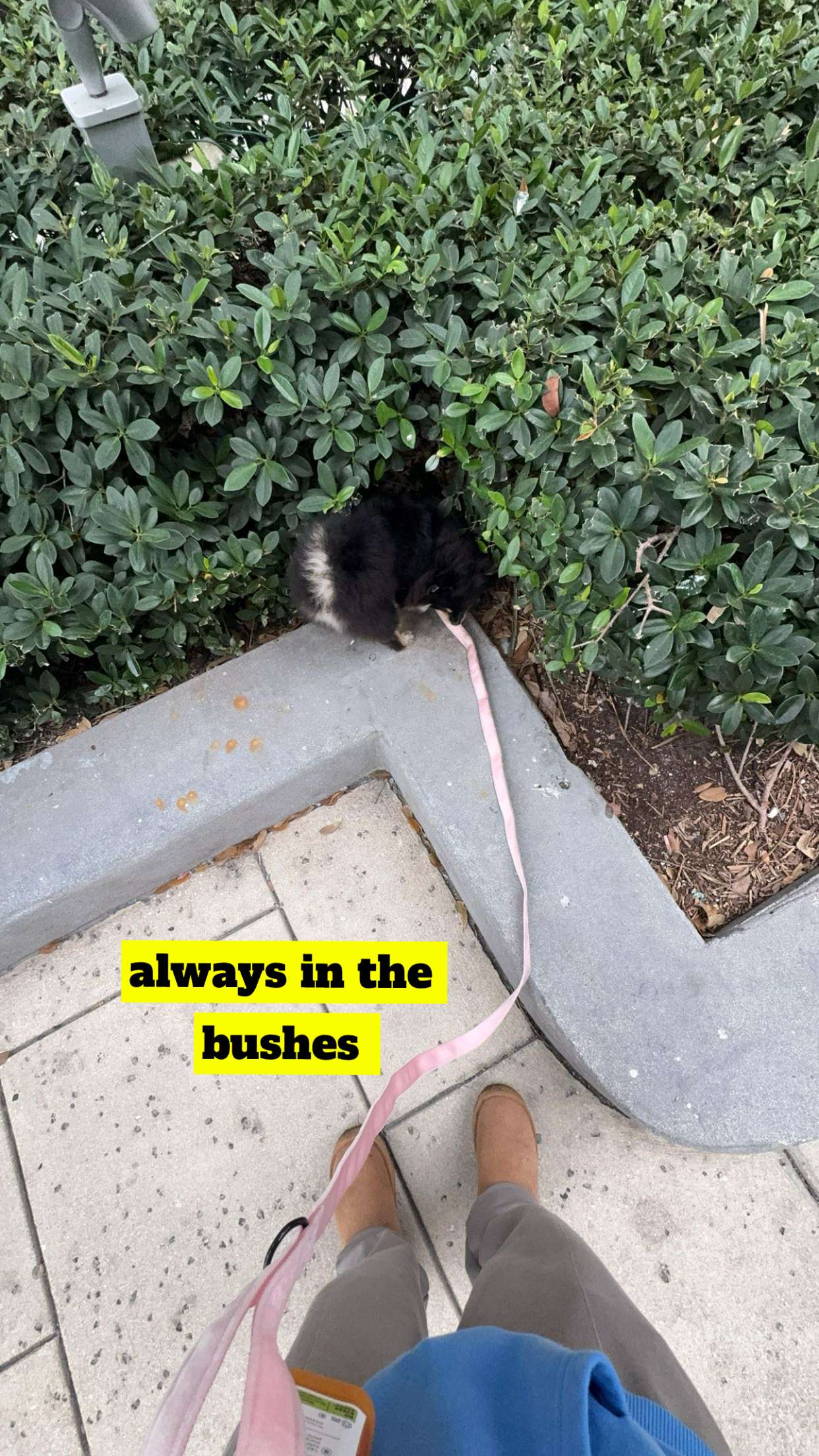 kaygcarlson snapchat image archive image