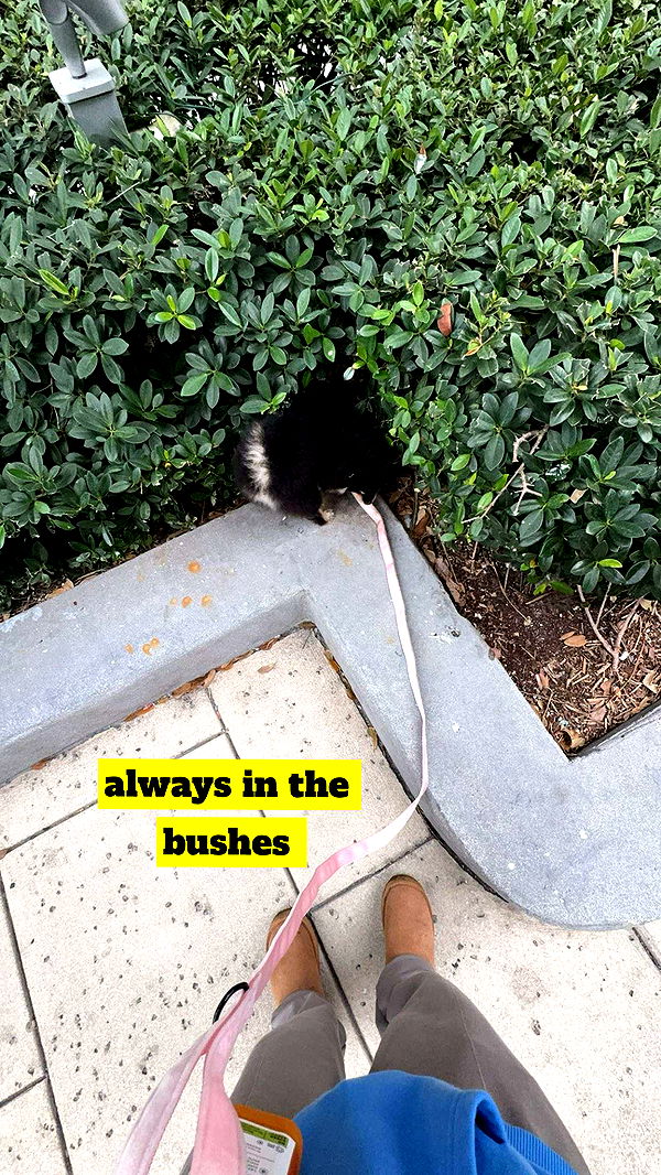 kaygcarlson image ~ Altpins