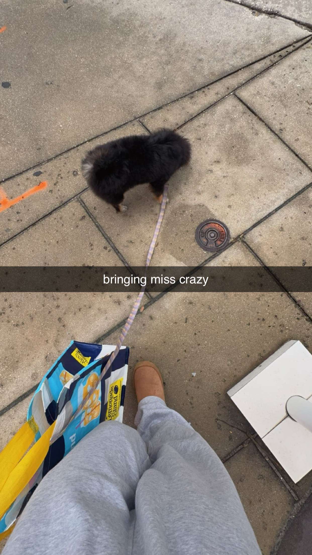 kaygcarlson snapchat image archive image