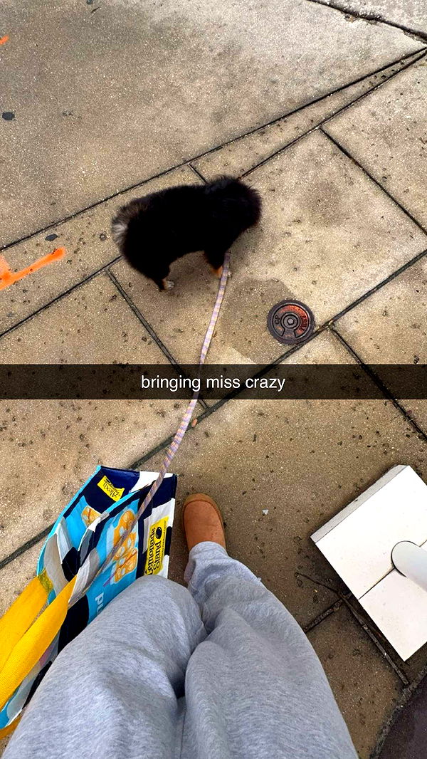 kaygcarlson image ~ Altpins