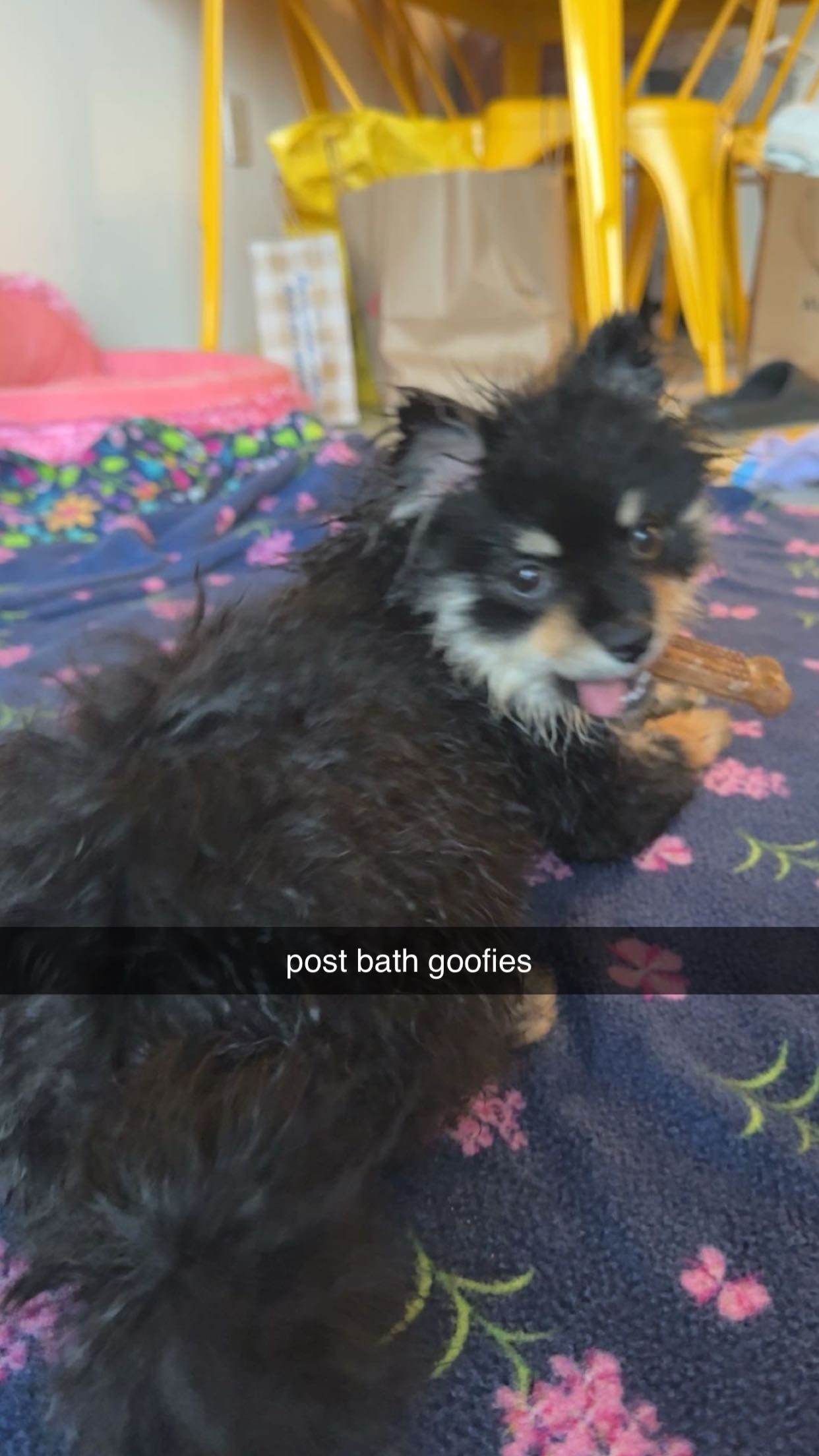 kaygcarlson snapchat image archive image