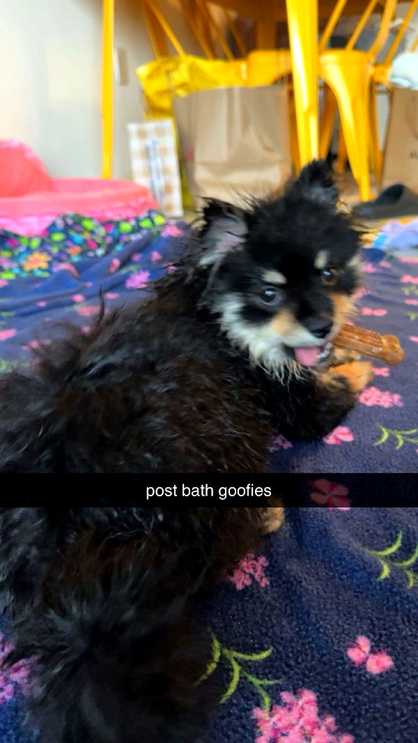 kaygcarlson image ~ Altpins