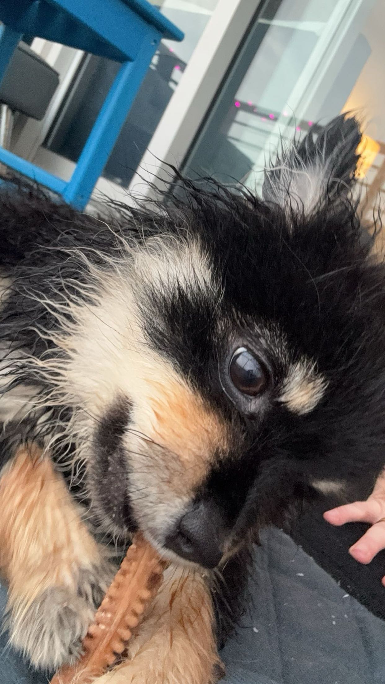 kaygcarlson snapchat image archive image