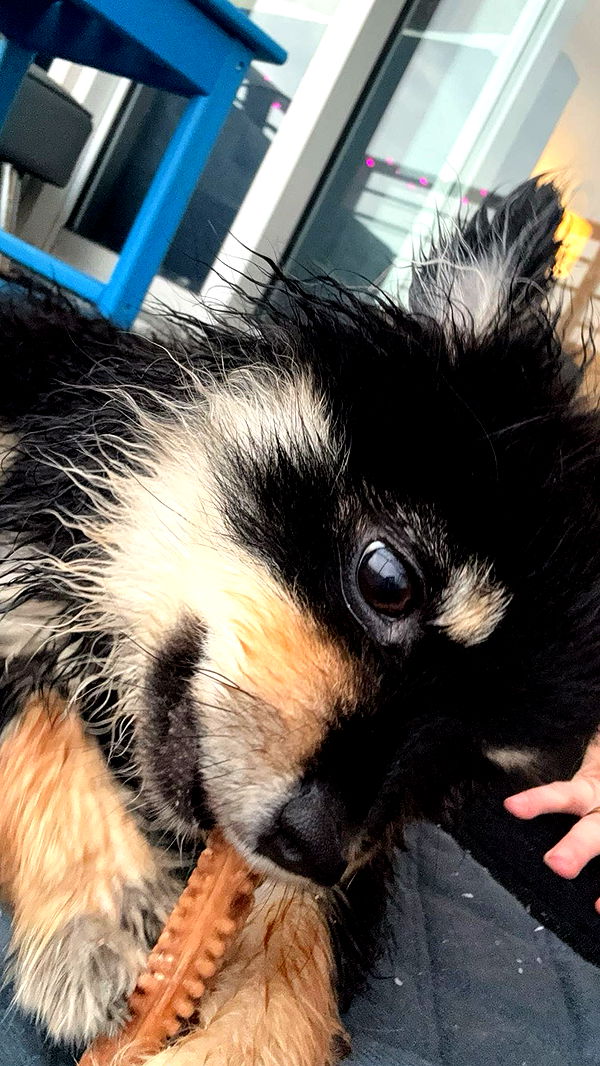 kaygcarlson image ~ Altpins