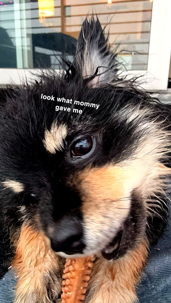 kaygcarlson image ~ Altpins