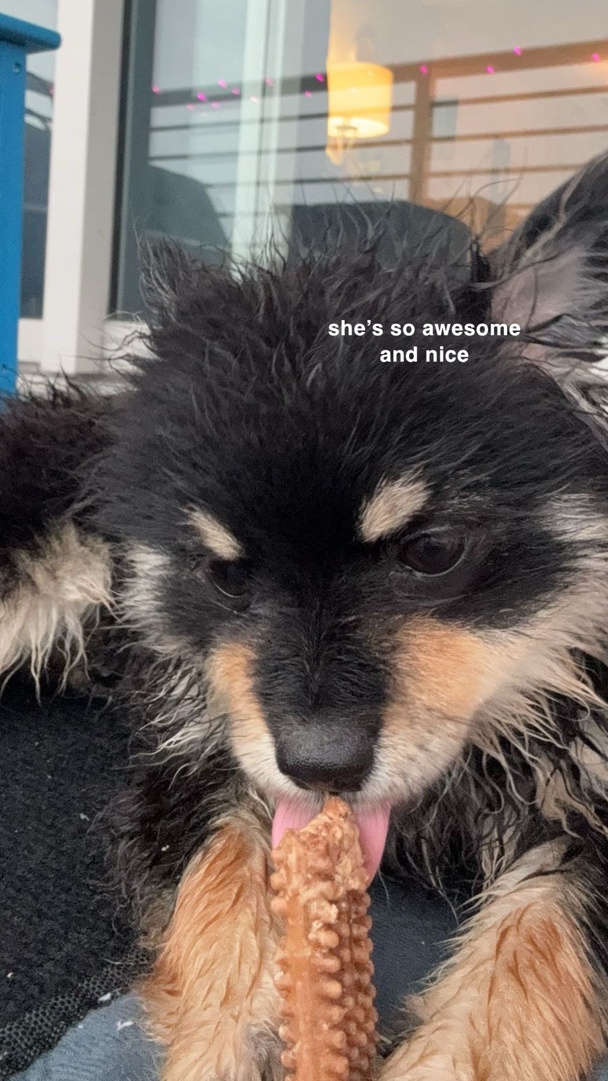 kaygcarlson snapchat image archive image