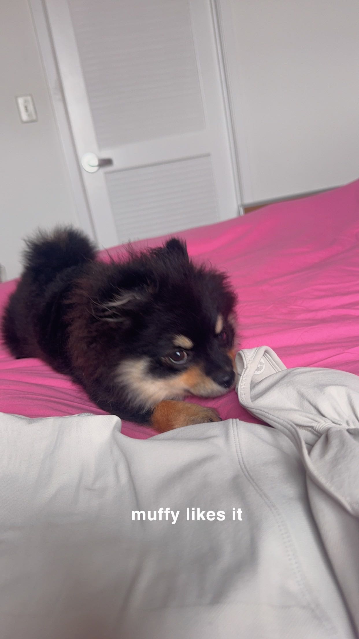 kaygcarlson snapchat image archive image