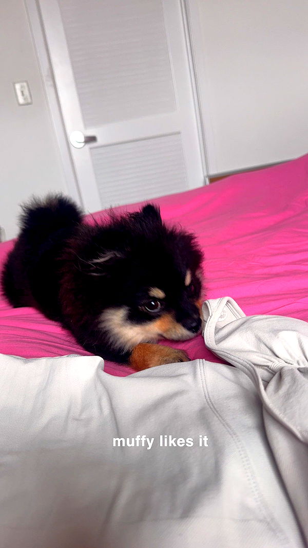 kaygcarlson image ~ Altpins