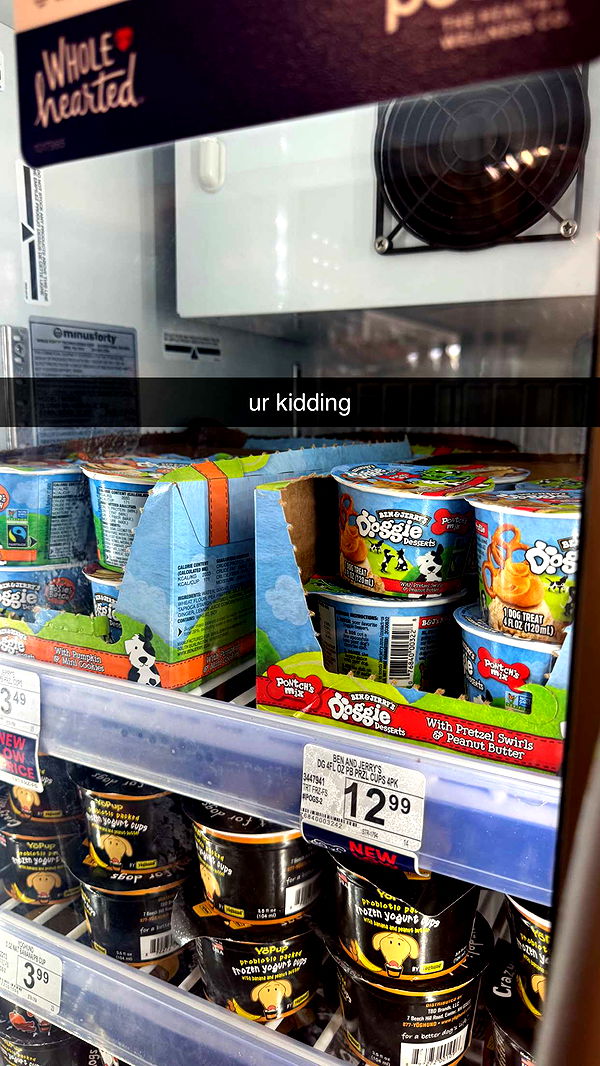 kaygcarlson image ~ Altpins