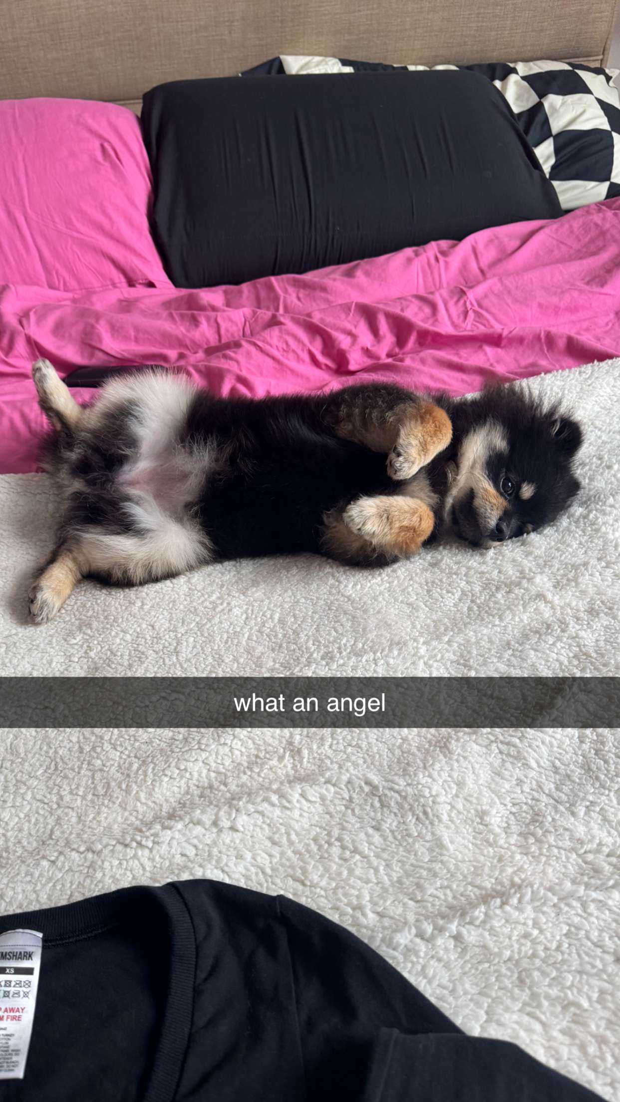 kaygcarlson snapchat image archive image