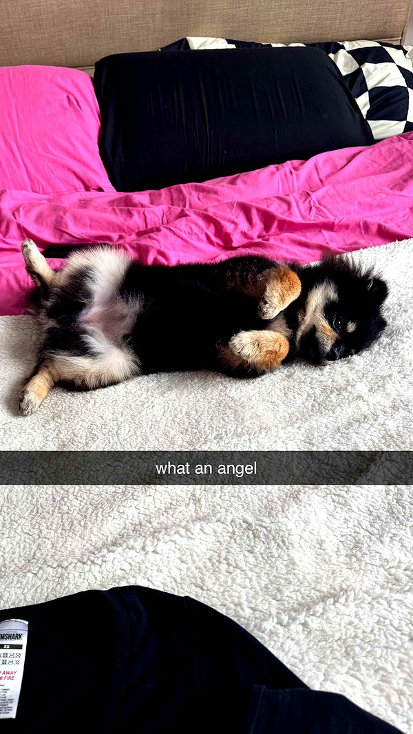 kaygcarlson image ~ Altpins