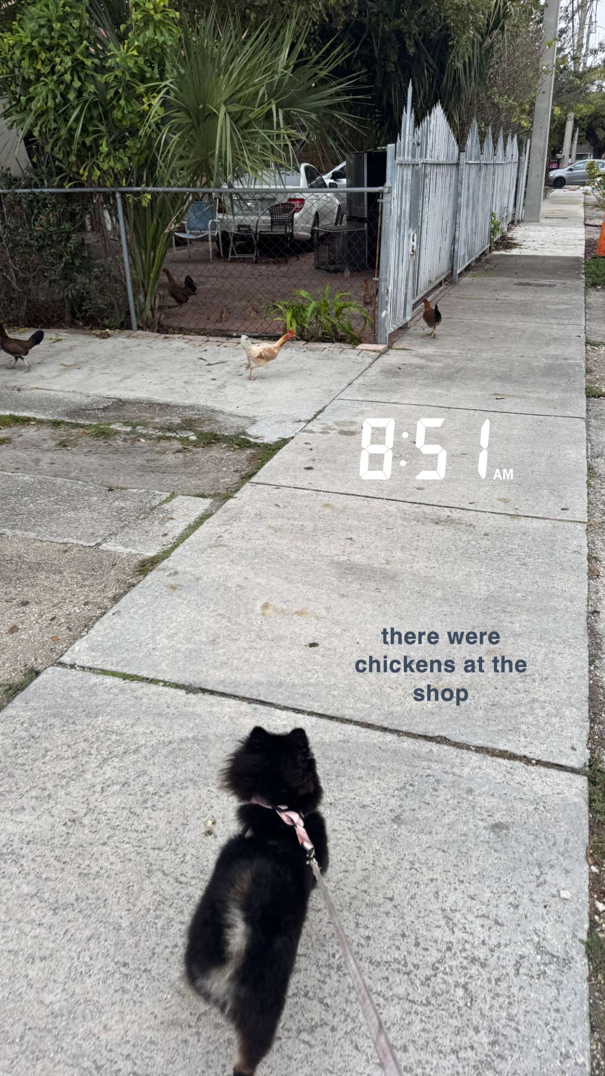 kaygcarlson snapchat image archive image