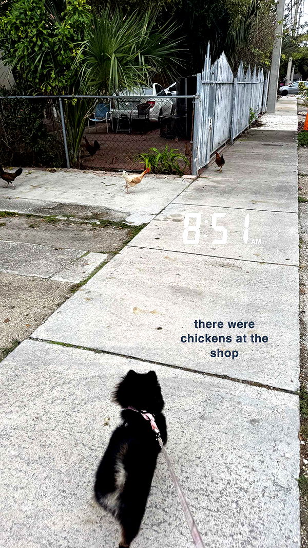 kaygcarlson image ~ Altpins