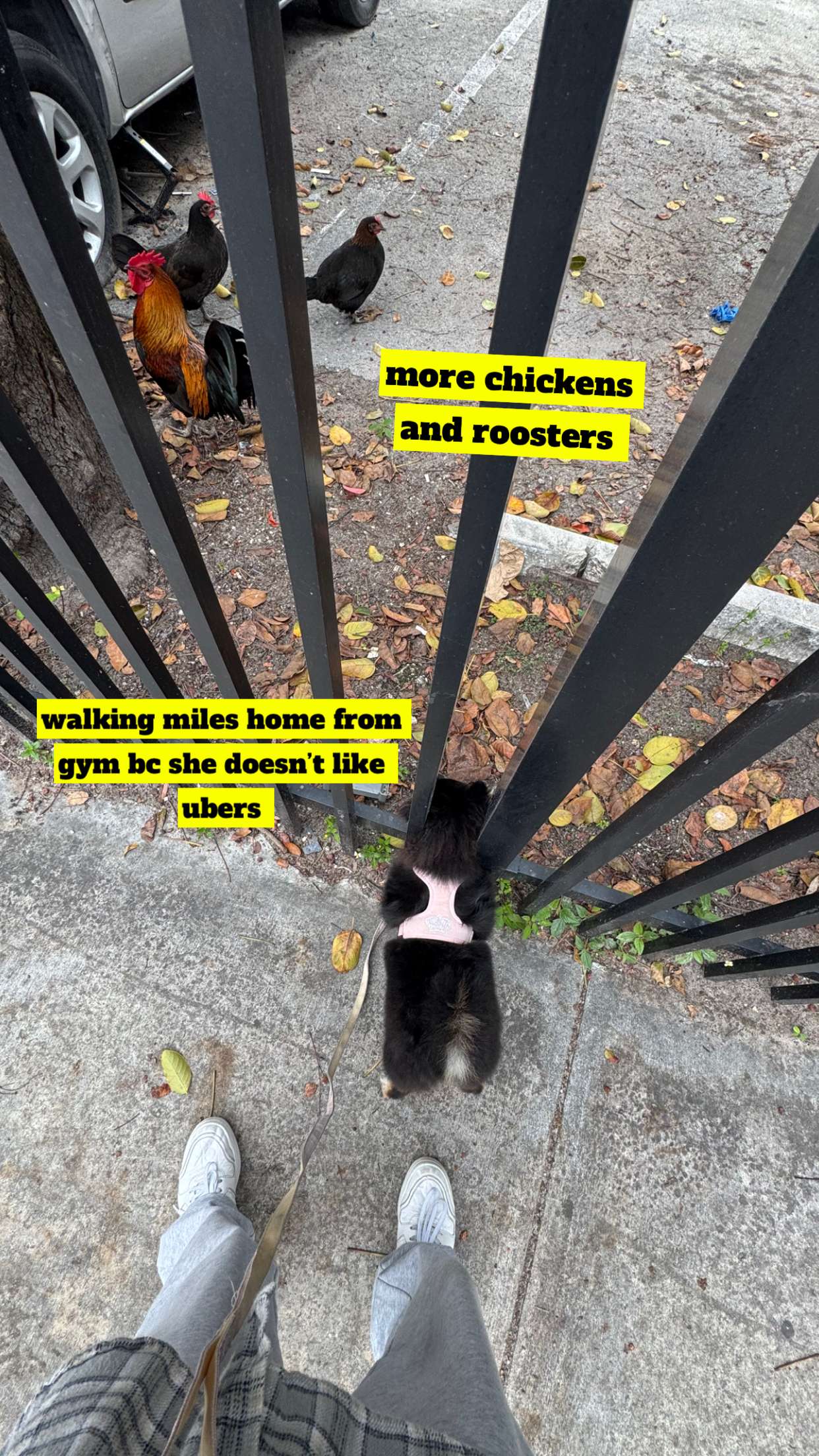 kaygcarlson snapchat image archive image