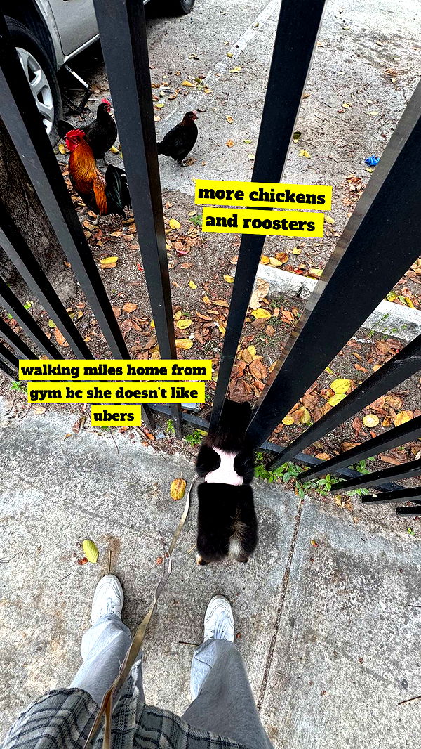 kaygcarlson image ~ Altpins