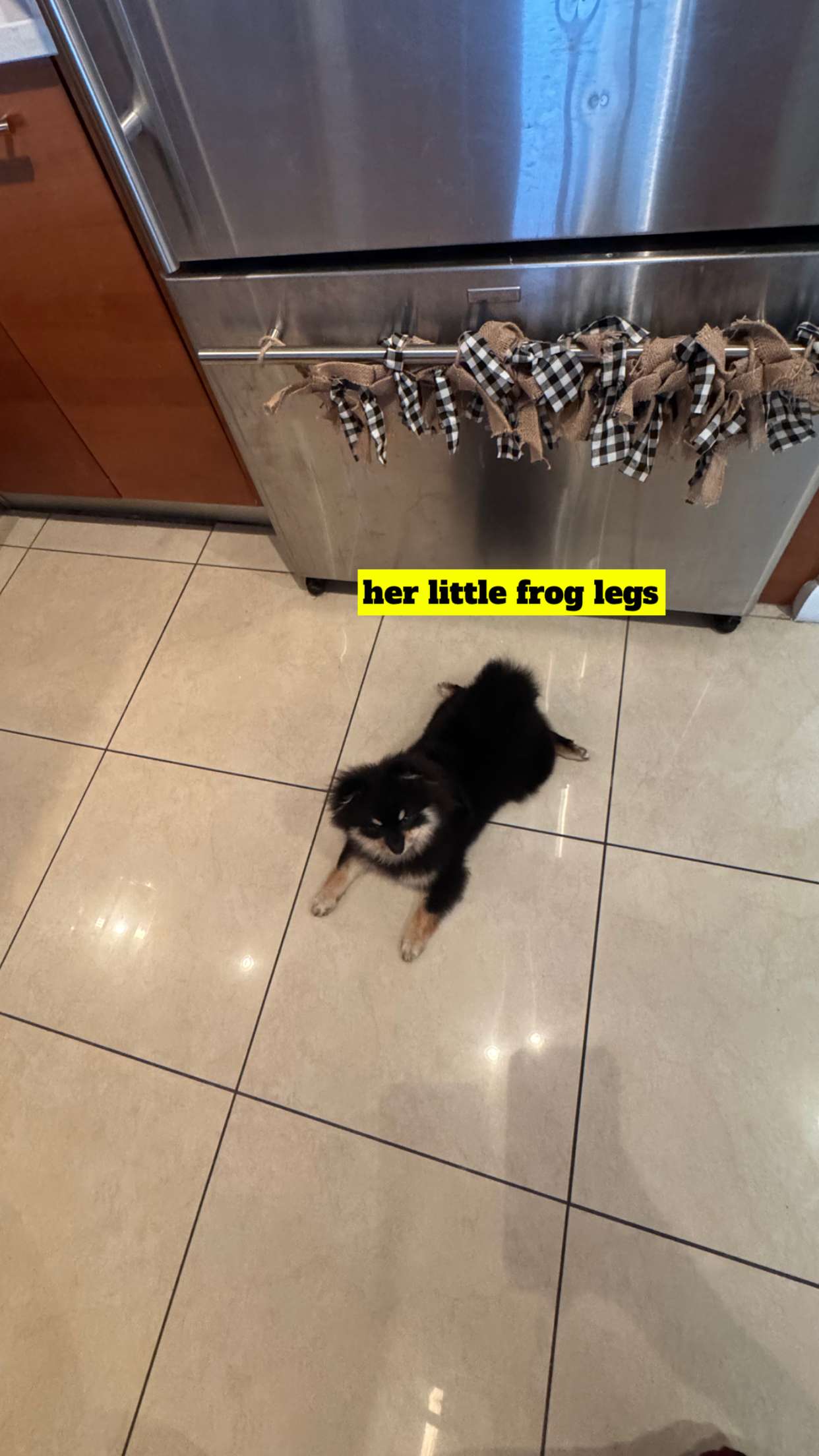 kaygcarlson snapchat image archive image