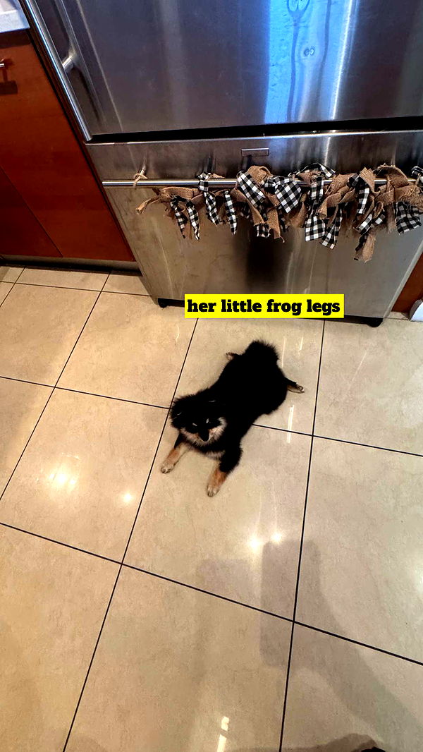 kaygcarlson image ~ Altpins