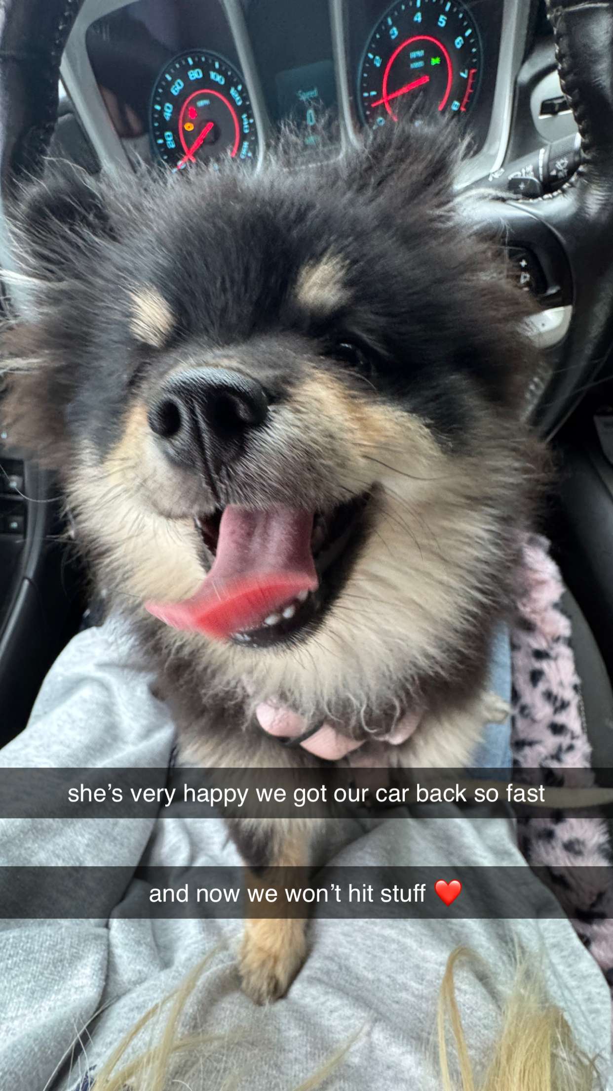 kaygcarlson snapchat image archive image