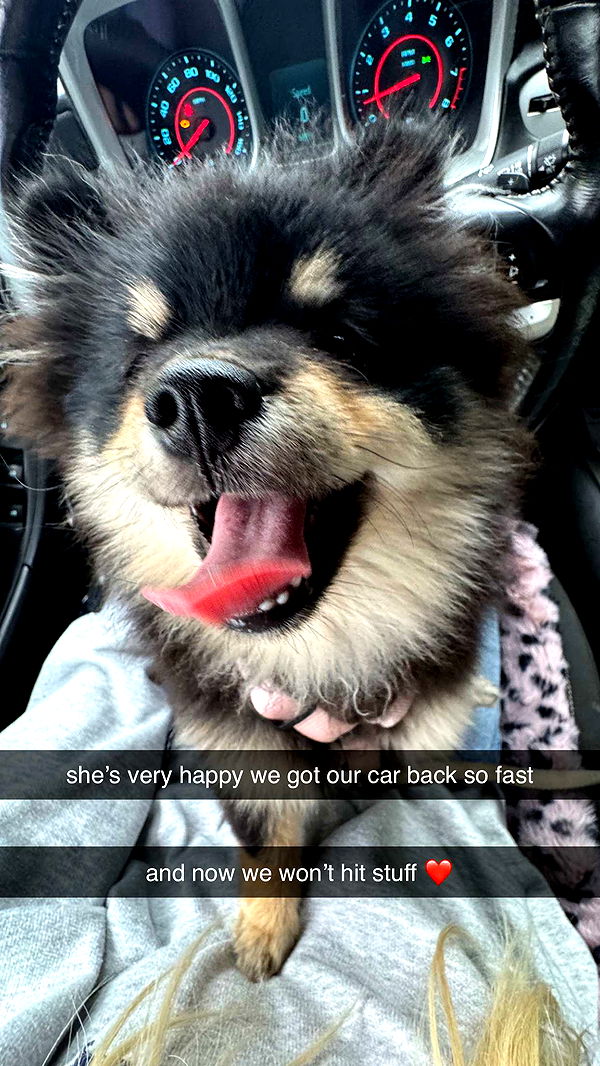 kaygcarlson image ~ Altpins