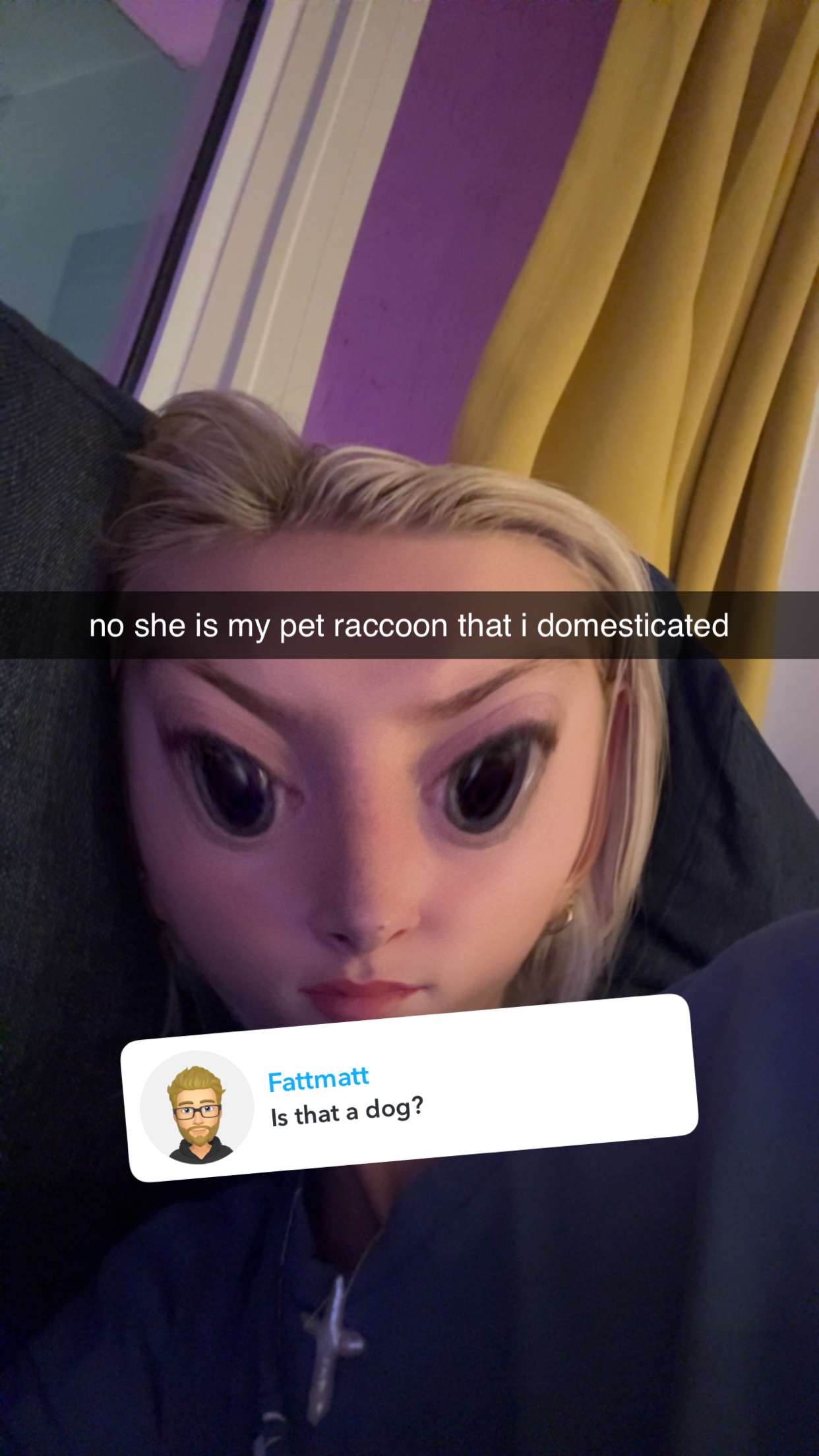 kaygcarlson snapchat image archive image