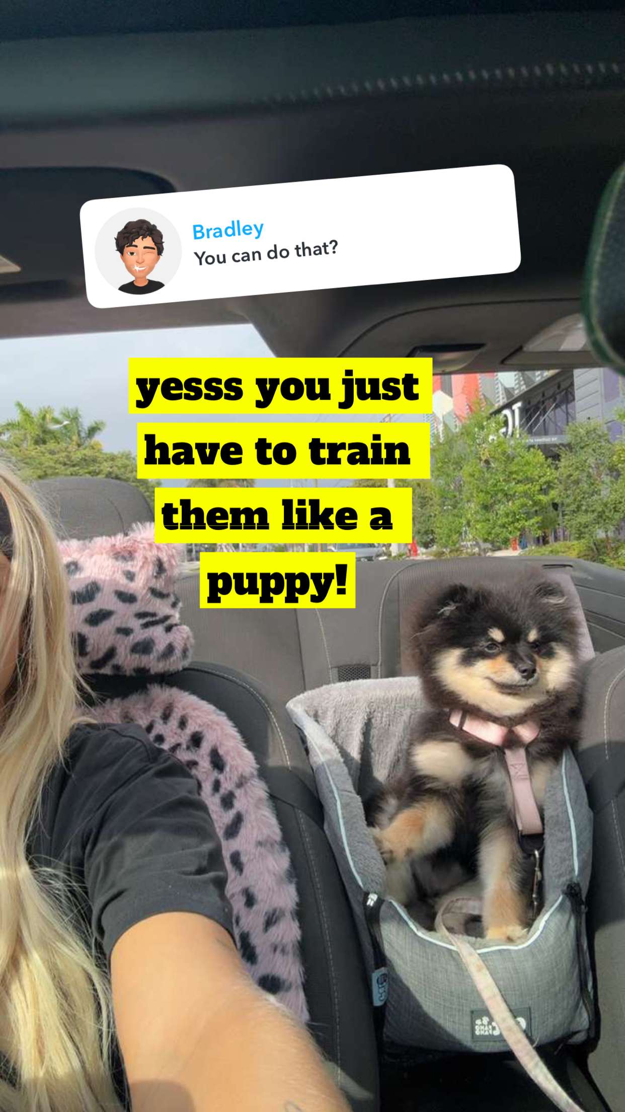 kaygcarlson snapchat image archive image